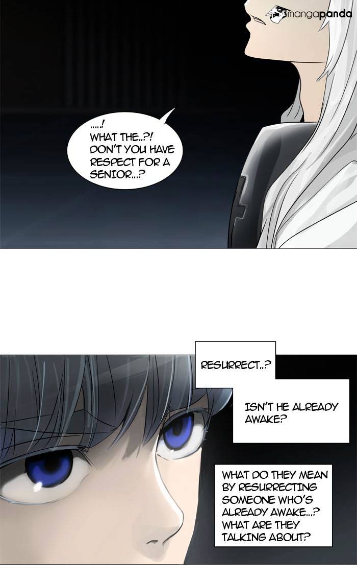 Tower of God, Chapter 245 image 29